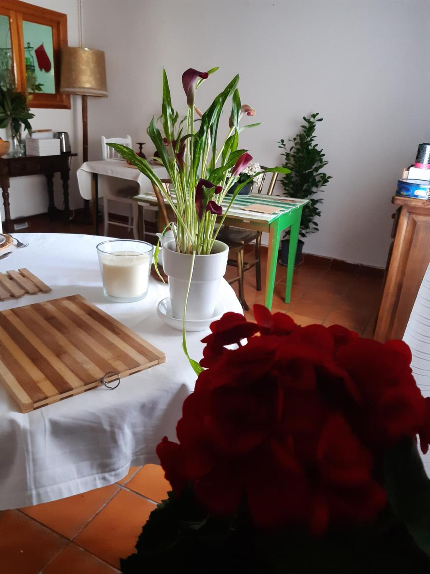 ValdealgorfaMusas Gastro Casa Ruralアパートメント エクステリア 写真